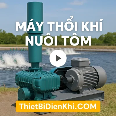 máy thổi khí nhật bãi